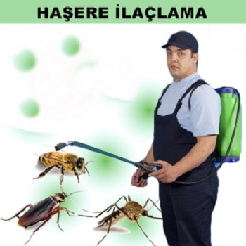 İstanbul Böcek İlaçlama